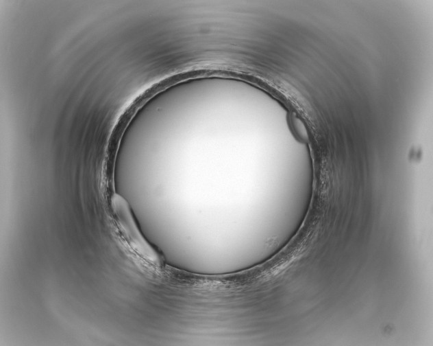 X0000093570880200711051055