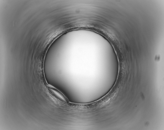 X0000093570881200711051055