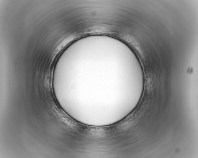 X0000093570882200711051055