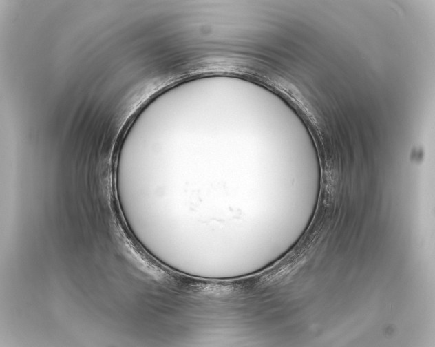 X0000093570890200711051055