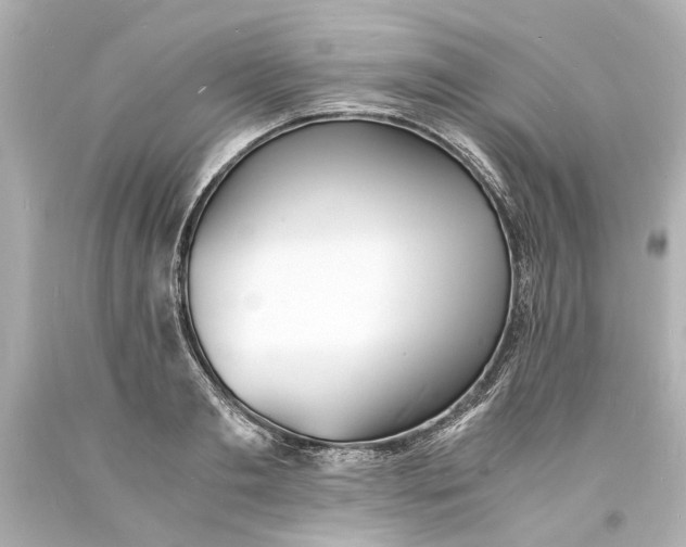 X0000093570893200711051055