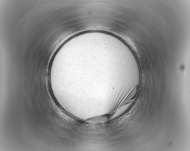X0000093570895200711051055