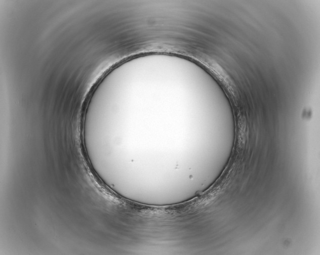 X0000093570896200711051055