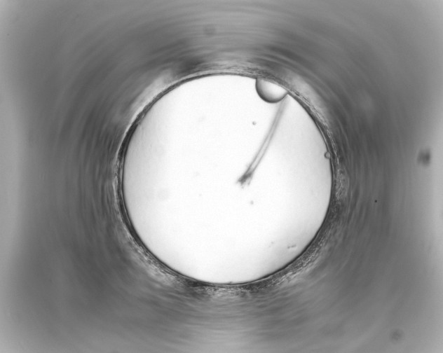 X0000093570899200711051055