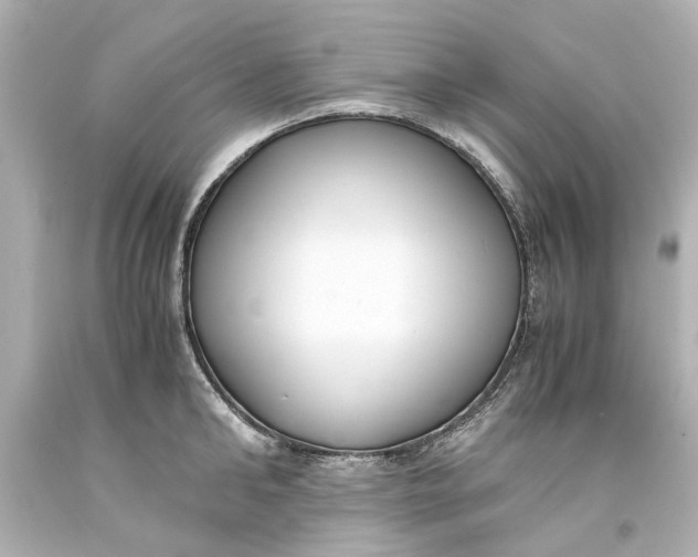 X0000093570902200711051055