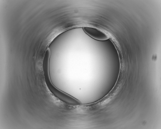 X0000093570905200711051055