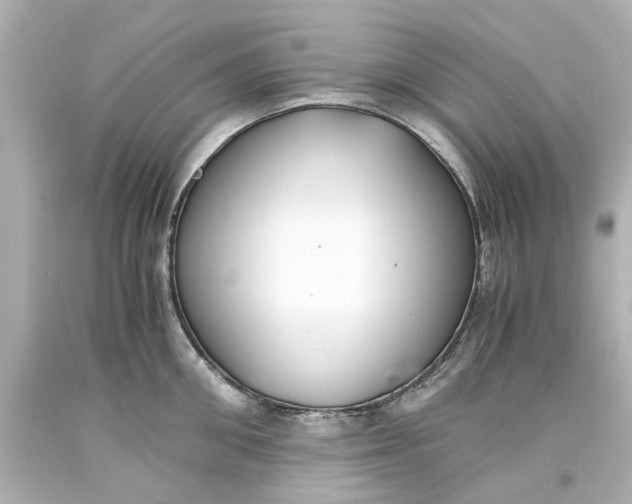 X0000093570906200711051055