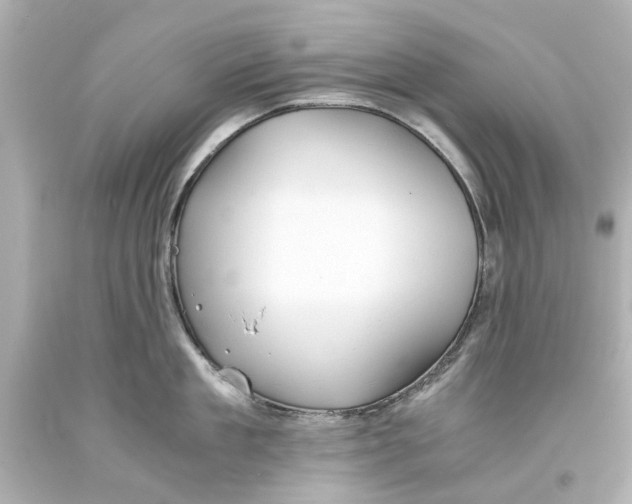 X0000093570909200711051055