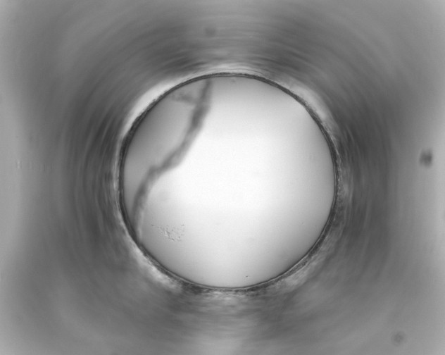 X0000093570910200711051055