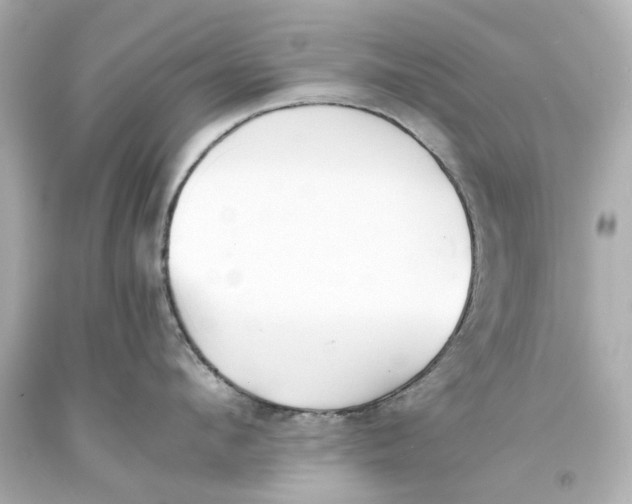 X0000093570912200711051055