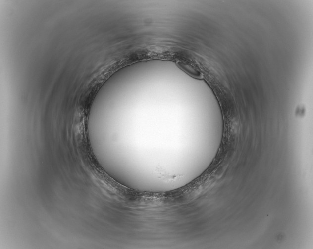 X0000093570914200711051054