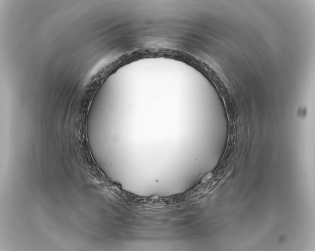 X0000093570919200711051054