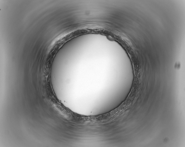 X0000093570920200711051054