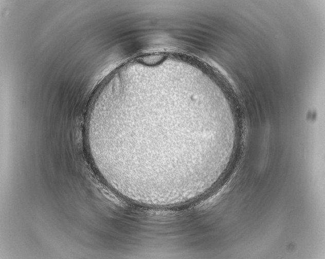 X0000093570921200711051054
