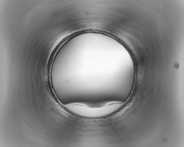 X0000093570924200711051054