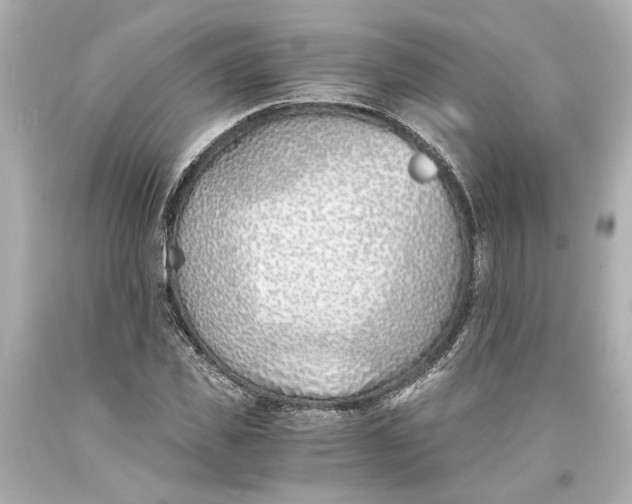X0000093570925200711051054