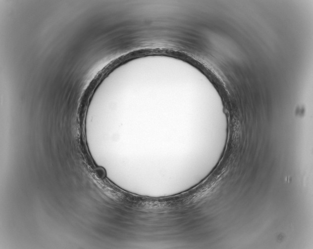 X0000093570927200711051054