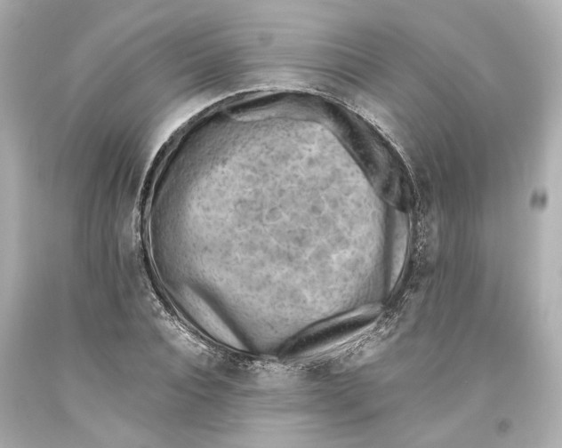 X0000093570928200711051054