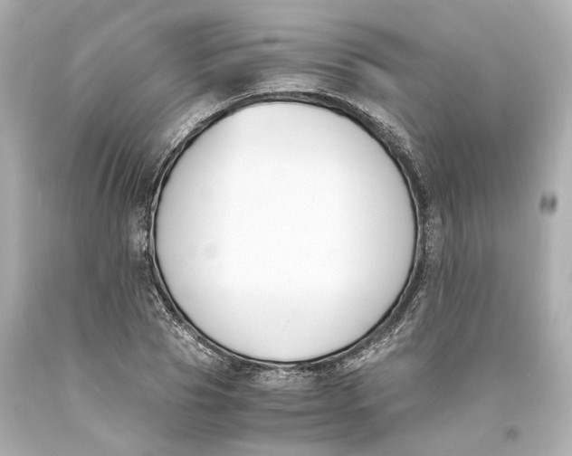 X0000093570929200711051054