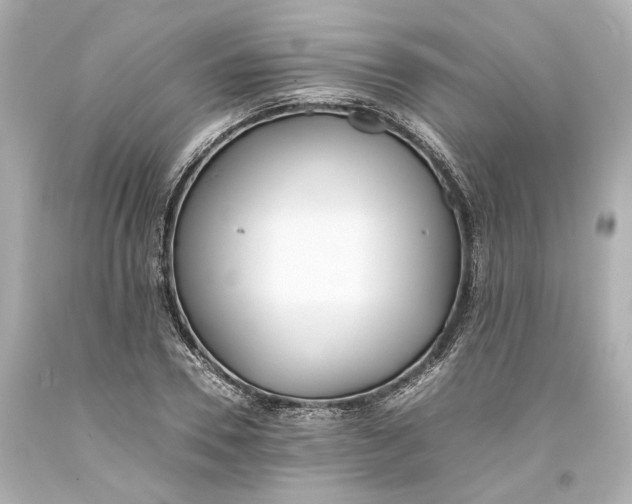 X0000093570930200711051054