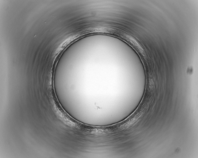 X0000093570938200711051054