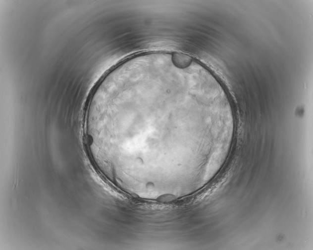 X0000093570941200711051054