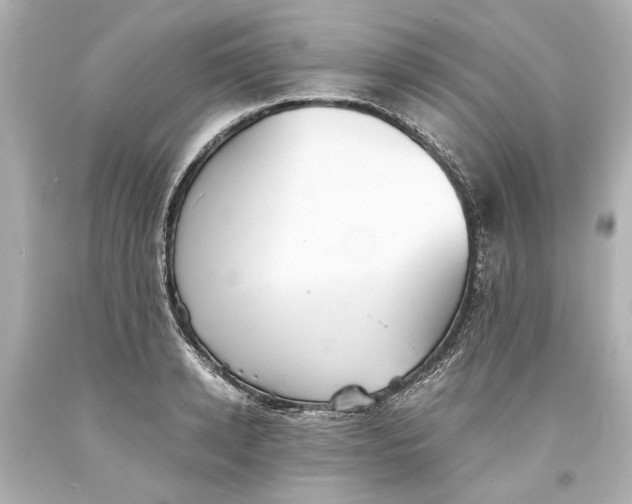 X0000093570942200711051054