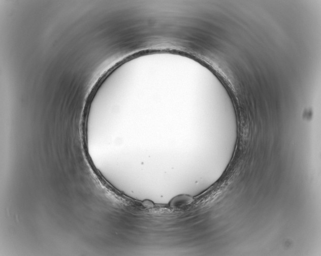 X0000093570943200711051054