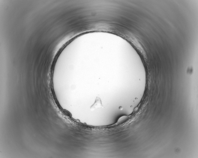 X0000093570944200711051054