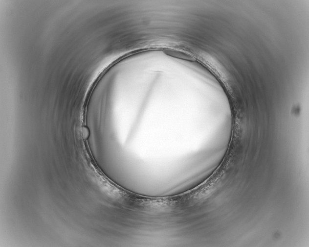 X0000093570948200711051054