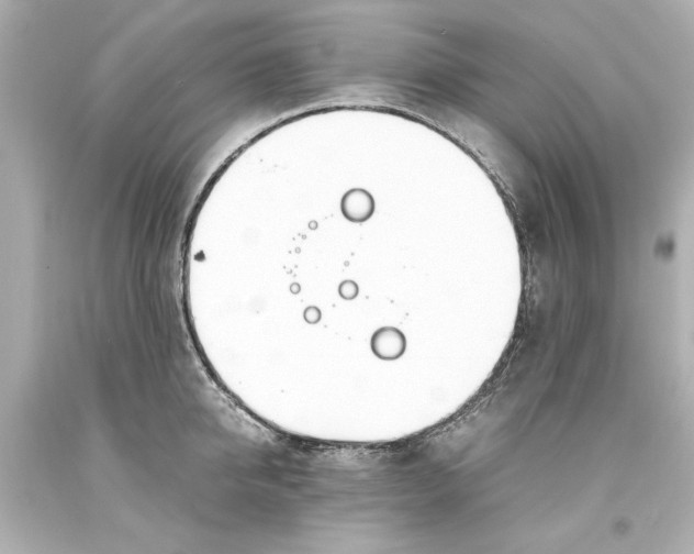 X0000093570950200711051054
