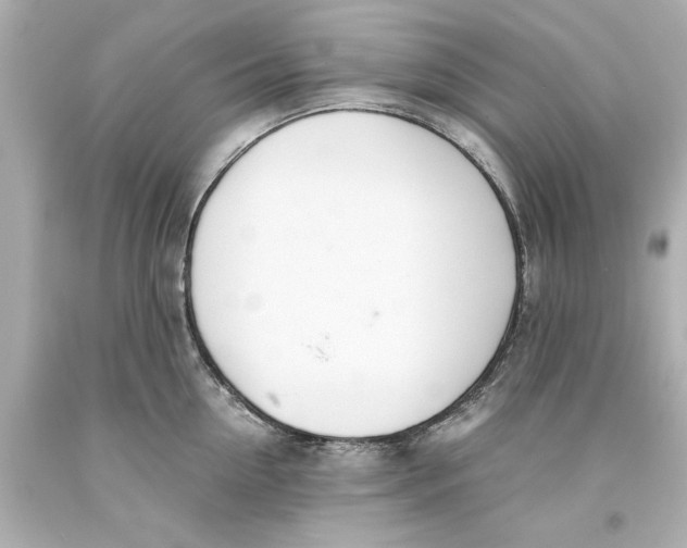 X0000093570954200711051054