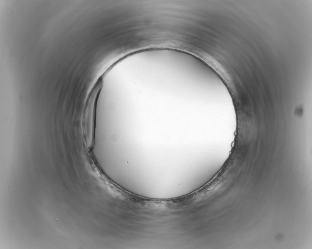 X0000093570956200711051055