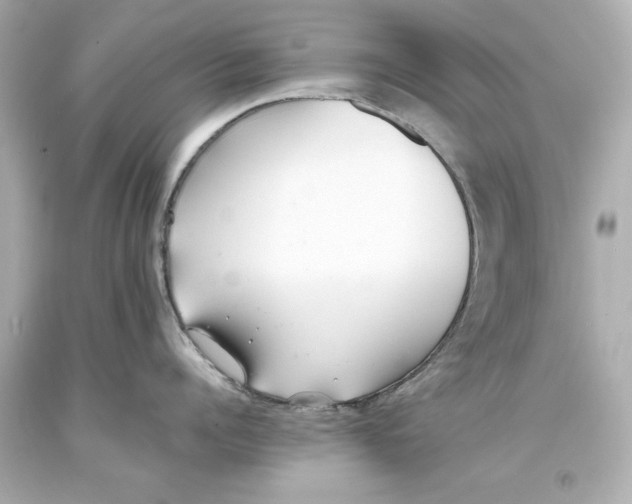 X0000093570960200711051055