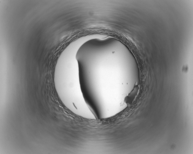 X0000093570965200711051054