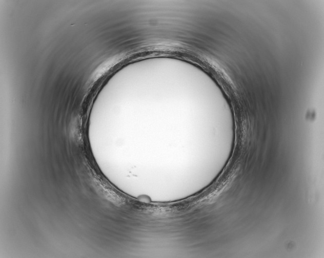 X0000093570970200711051054