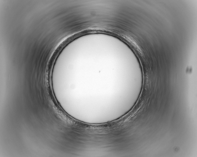 X0000093570976200711051054
