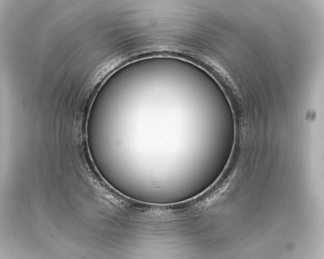 X0000093570977200711051054