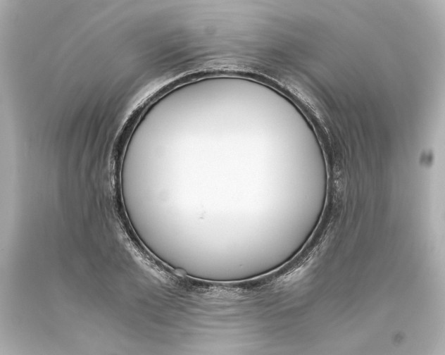 X0000093570981200711051054