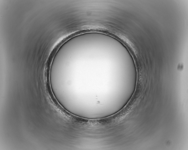 X0000093570983200711051054