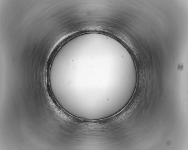 X0000093570984200711051054