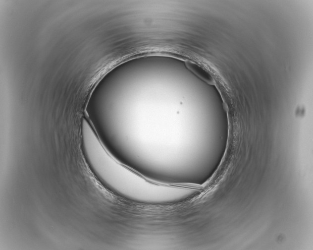 X0000093570985200711051054
