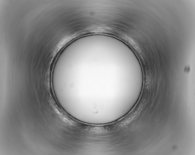 X0000093570986200711051054