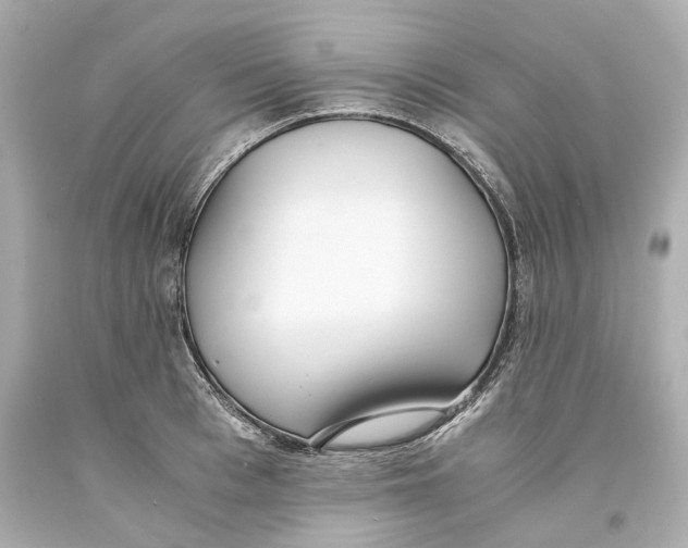 X0000093570993200711051054