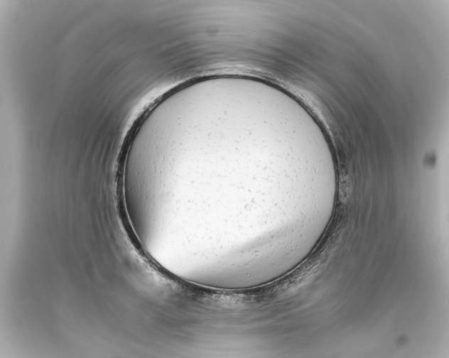 X0000093570995200711051054