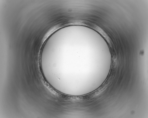 X0000093571002200711051053