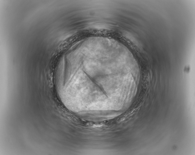 X0000093571013200711051053