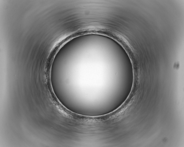 X0000093571018200711051053