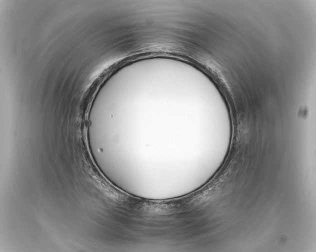 X0000093571019200711051053
