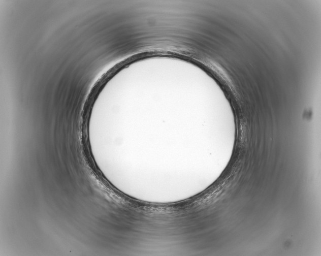 X0000093571020200711051053